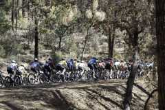 Tour-of-the-Gila-Stage-3-4512