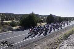 2025 - TOG - Mogollon Road Race - Dejan Smaic