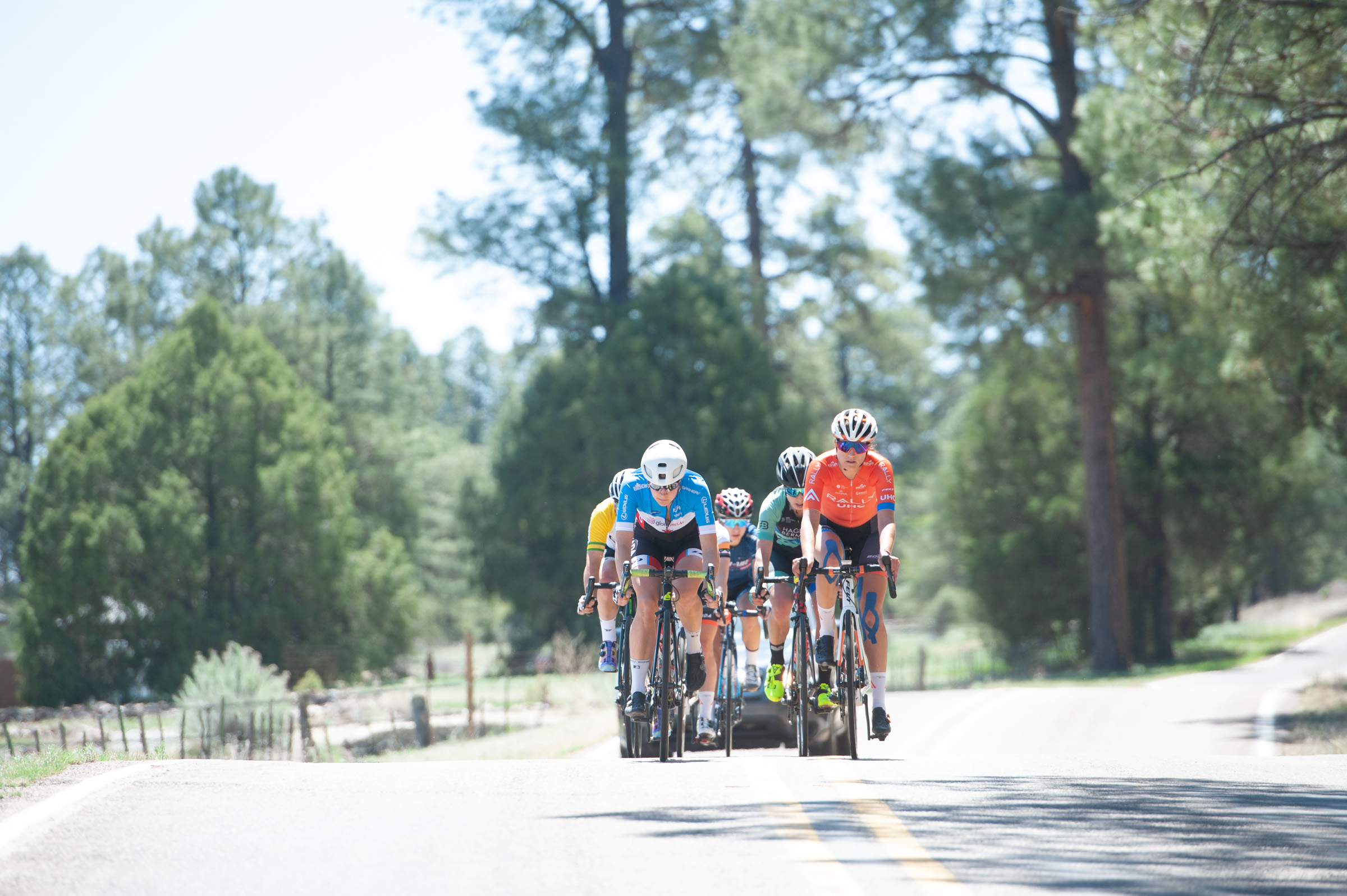 Announcing the 37th Tour of the Gila, introducing our 2024 race